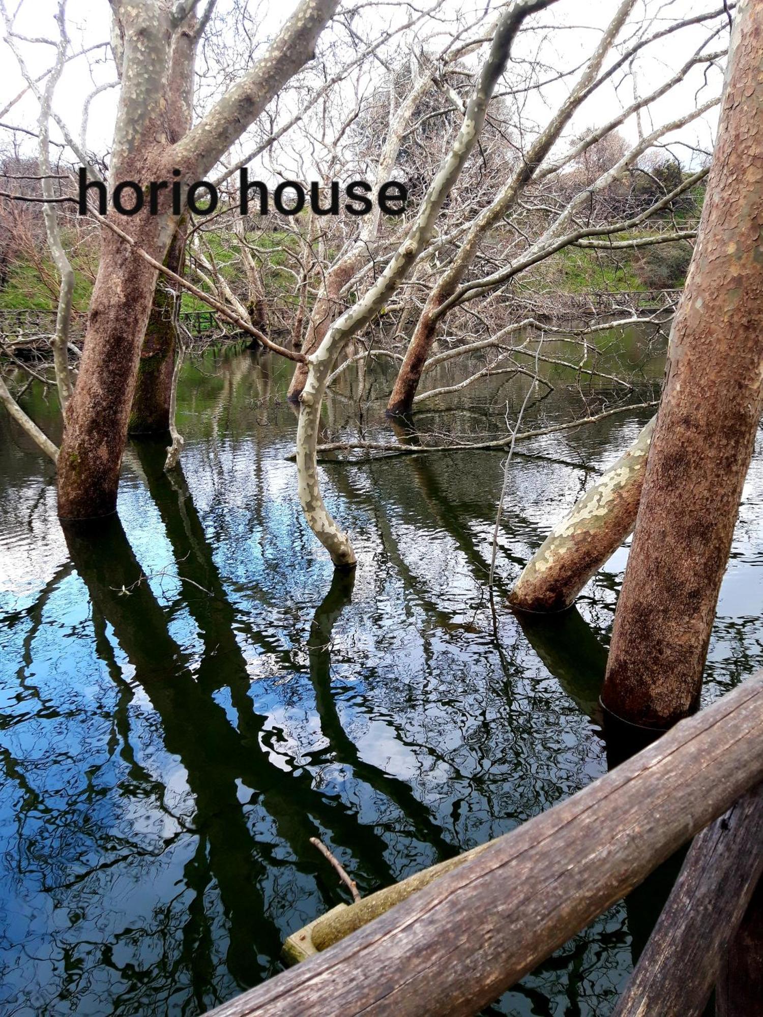 Вілла Horio House Limni  Номер фото